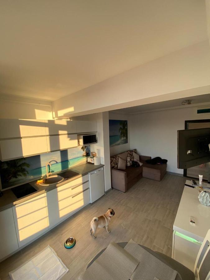Apartament Edu Beach Resort Năvodari Buitenkant foto